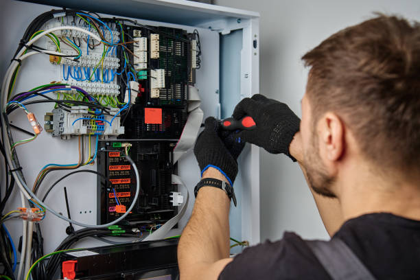 Licensed Electrical Panel Upgrade service in Viroqua, WI - No Joke electrician